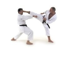 Kyokushin